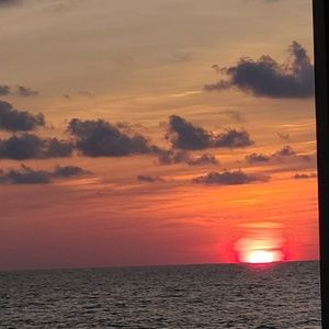 Meet your Posher, Lola